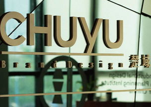 楚域品牌管理機構設計作品案例 企業(yè)管理領域品牌視覺戰(zhàn)略實踐