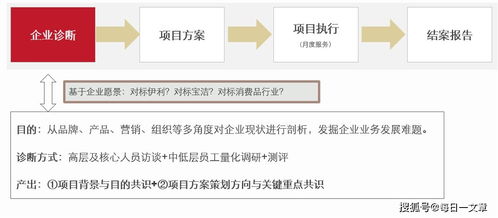 品牌管理部年終述職報(bào)告 在企業(yè)管理中，抓住每一次“被看見”的瞬間